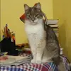 Отзыв от Лена Владимирова
